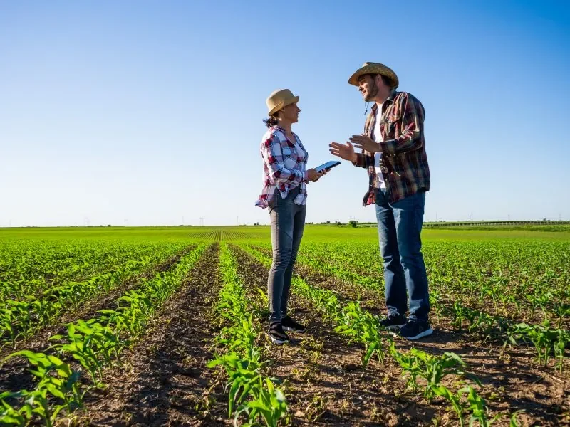 Dois agricultores conversando no meio da plantação